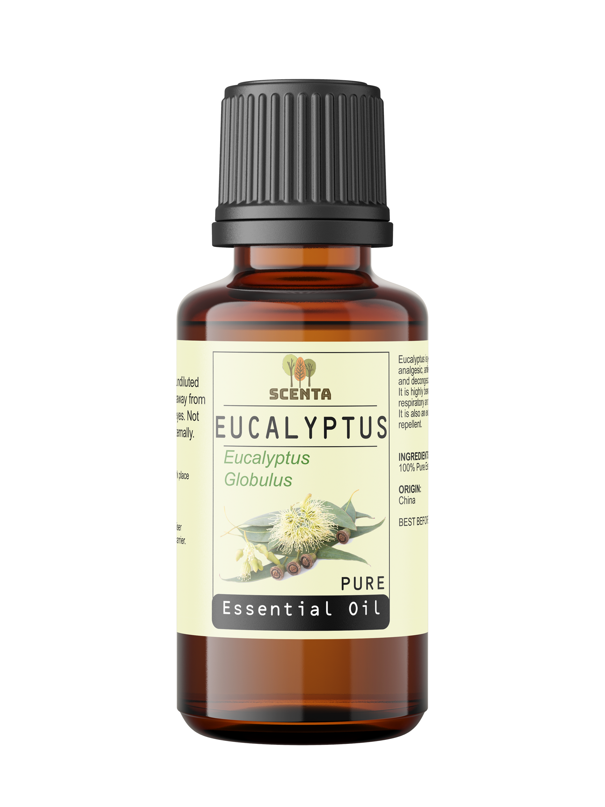 Eucalyptus Globulus 100% Pure Essential Oil - SCENTA