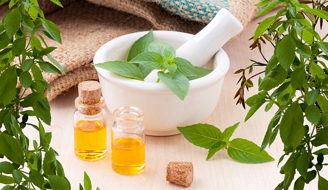 Top 5 Essential Oils to Add to Your Collection