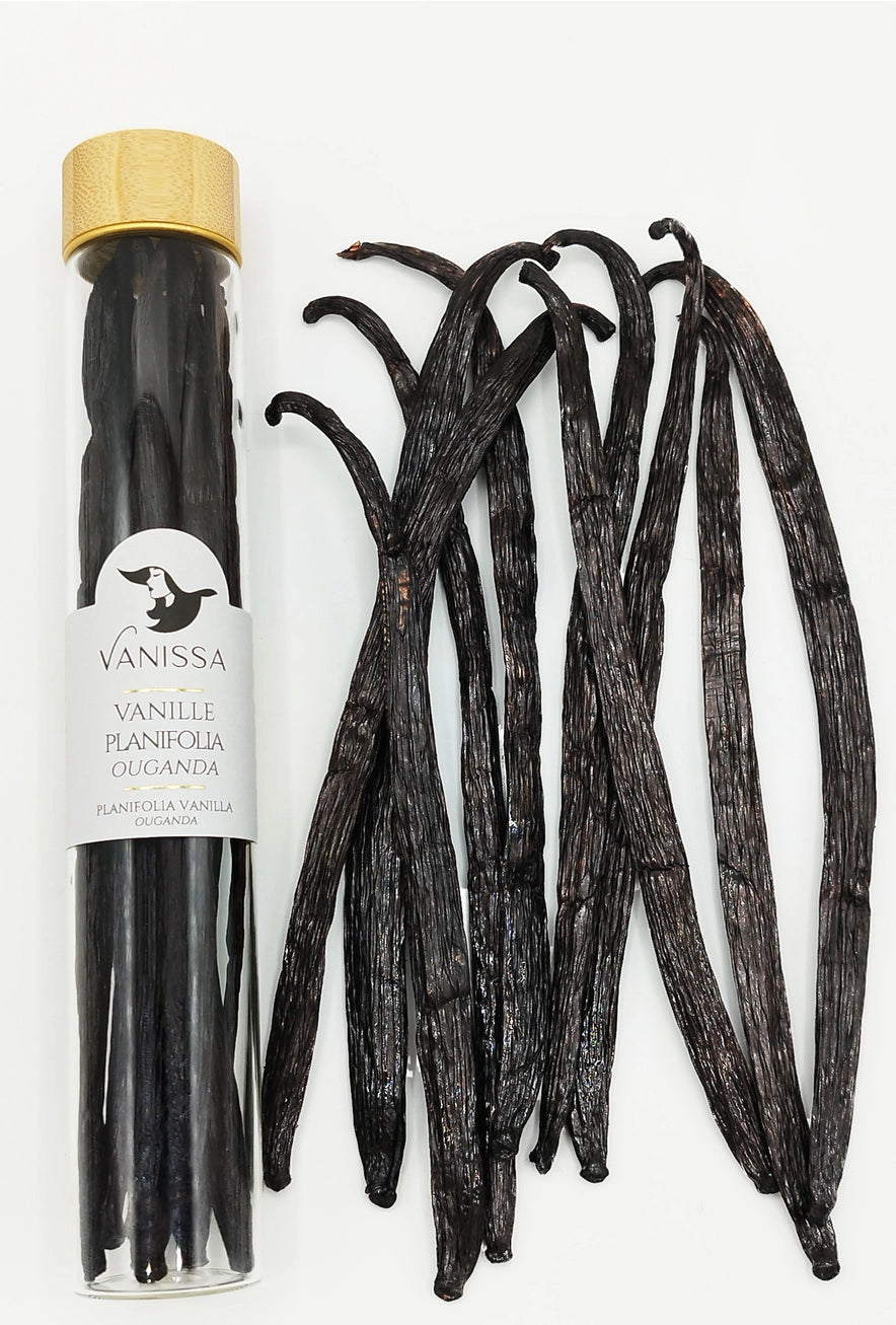 Planifolia Vanilla Beans - Uganda