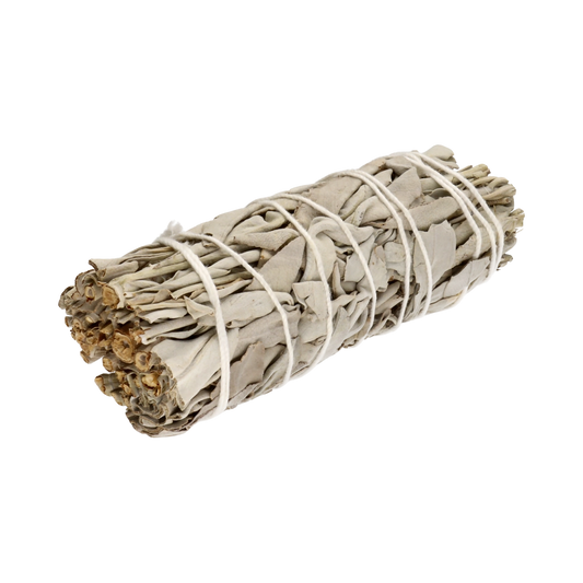 California White Sage (Salvia Apiana) – Natural Premium - 