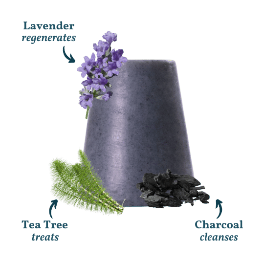 Facial Cleanse Bar – Tea Tree, Lavender & Probiotic Charcoal Cleanser 20g