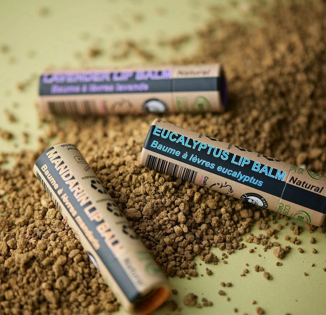 Organic Eucalyptus Lip Balm – Cooling Nourishment in 100% Paper Packaging