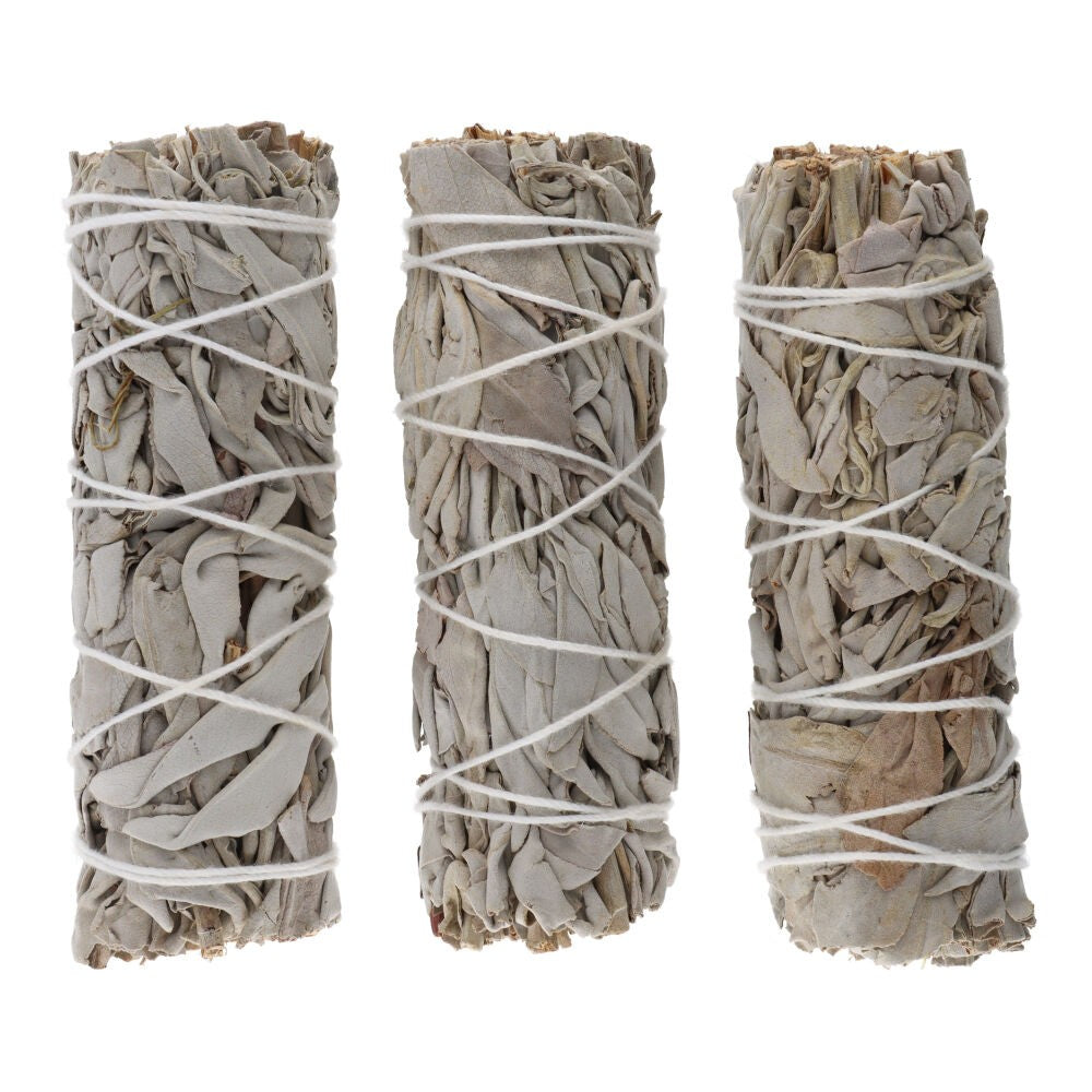 California White Sage (Salvia Apiana) – Natural Premium