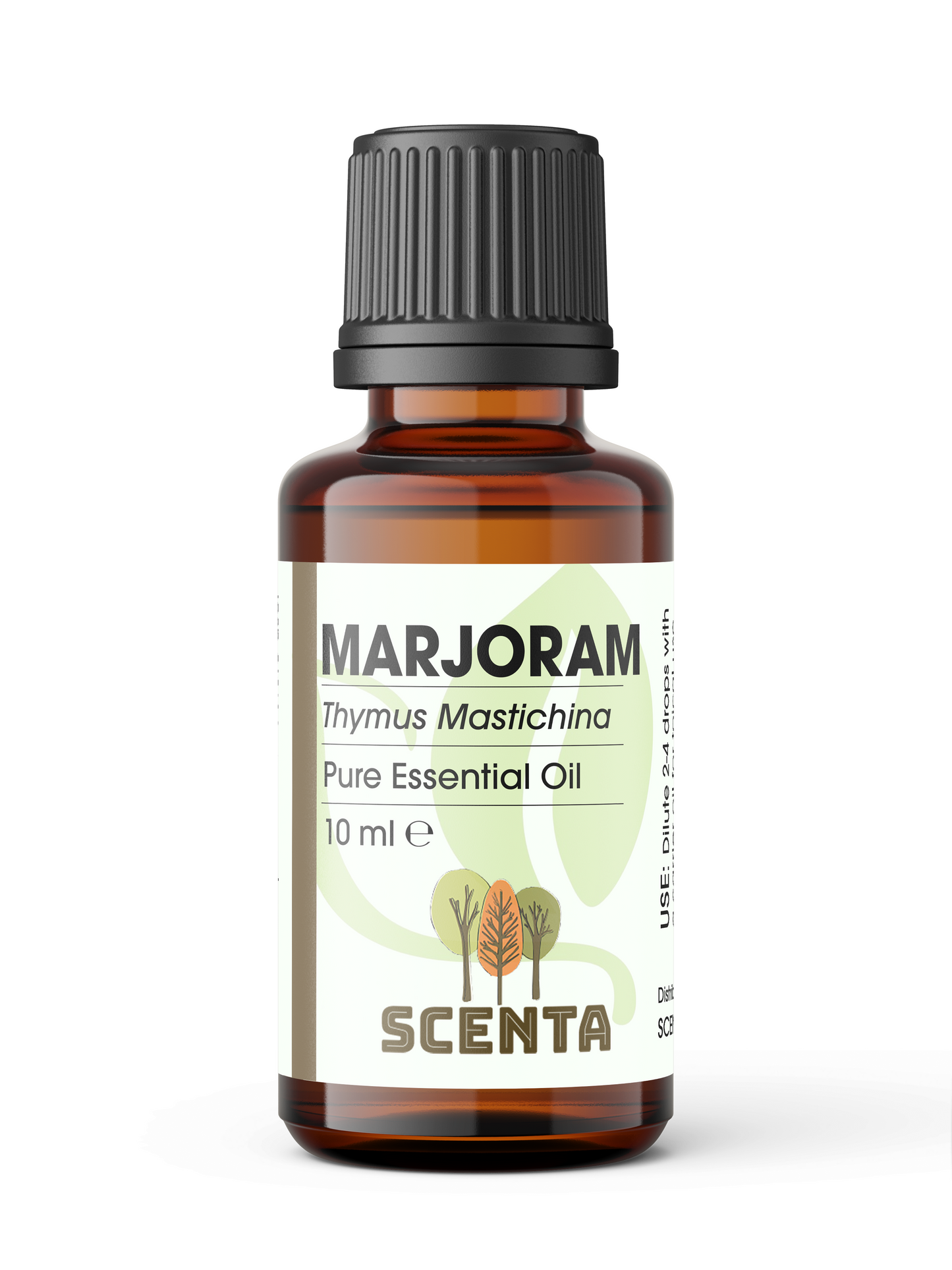 Spanish Marjoram Essential Oil