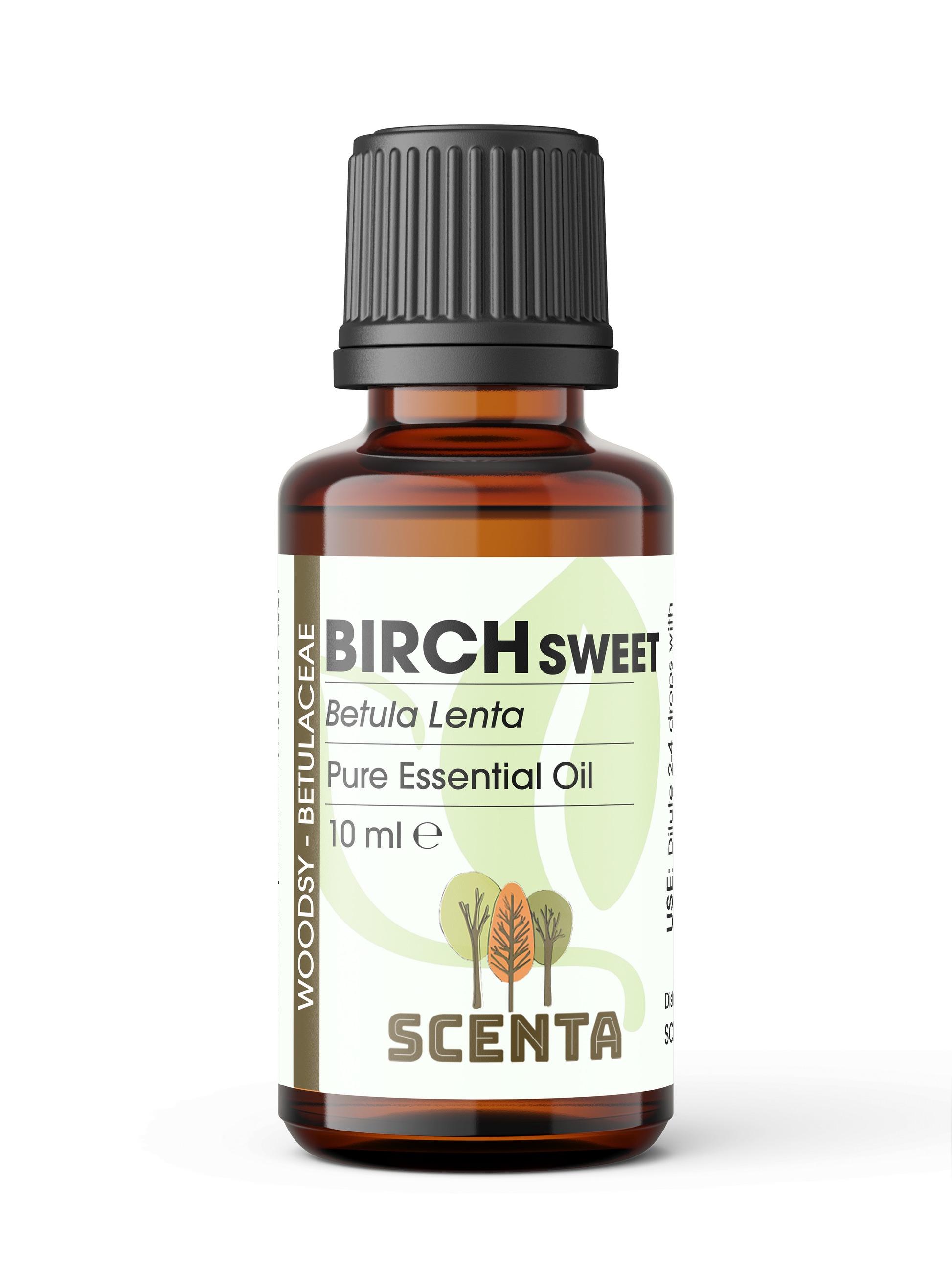 birch sweet essential oil