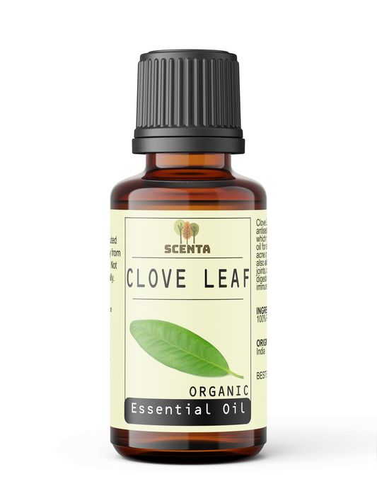 clove leaf essential oil