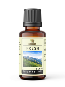 Fresh - Essential Oil Blend - SCENTA