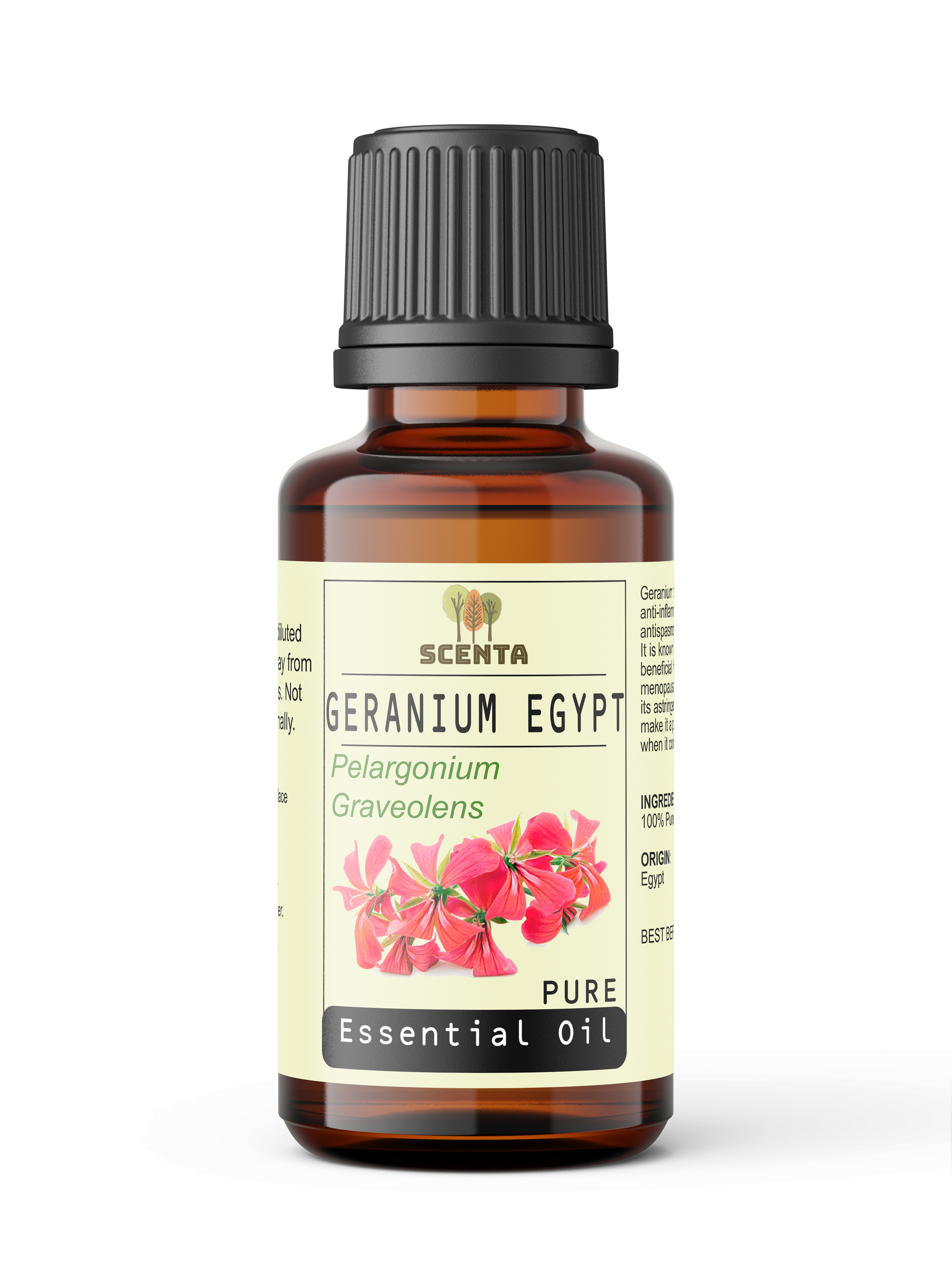 geranium egypt essential oil
