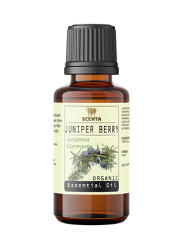 juniper berry organic essential oil 