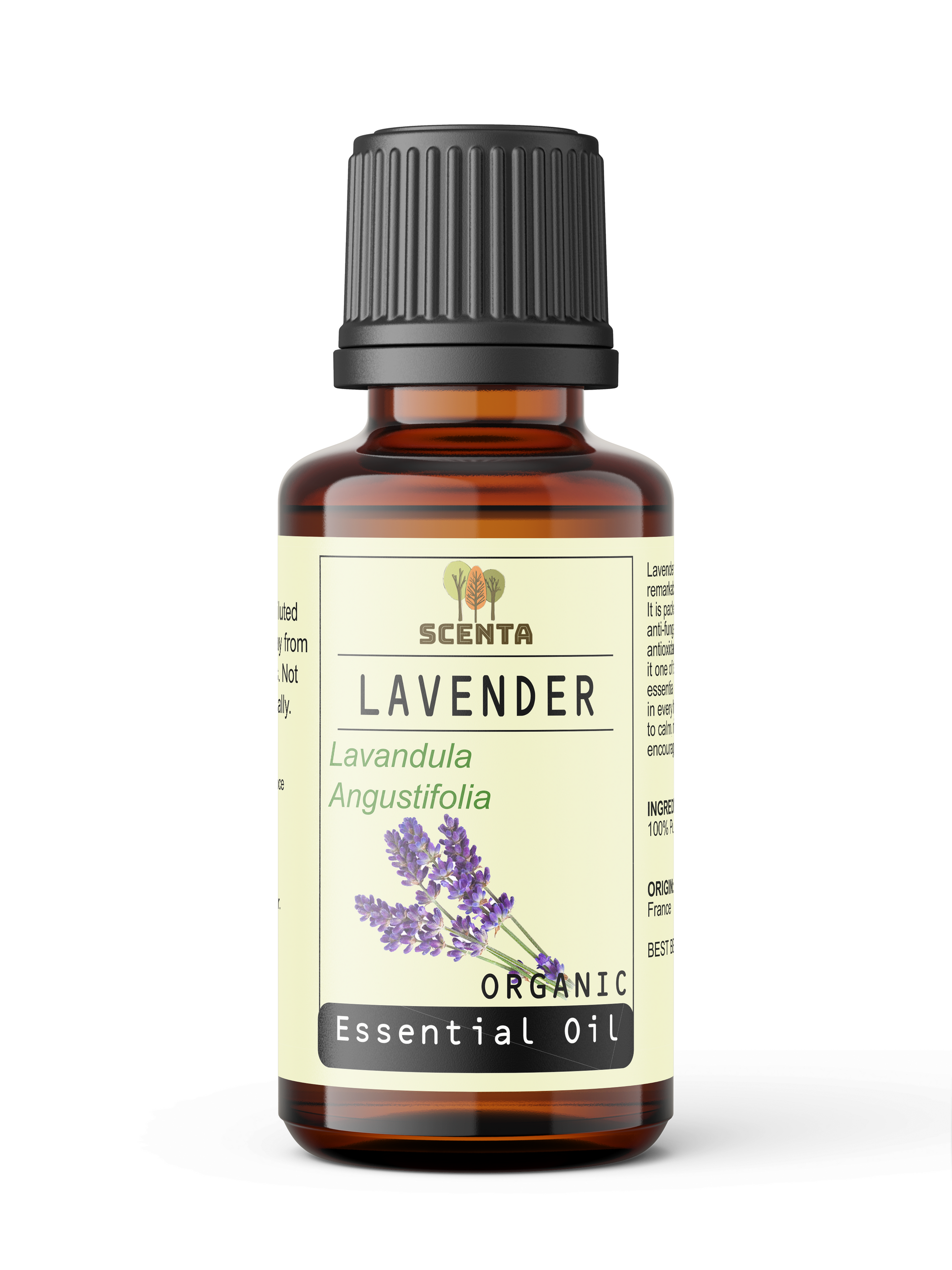 lavender organic essential oil