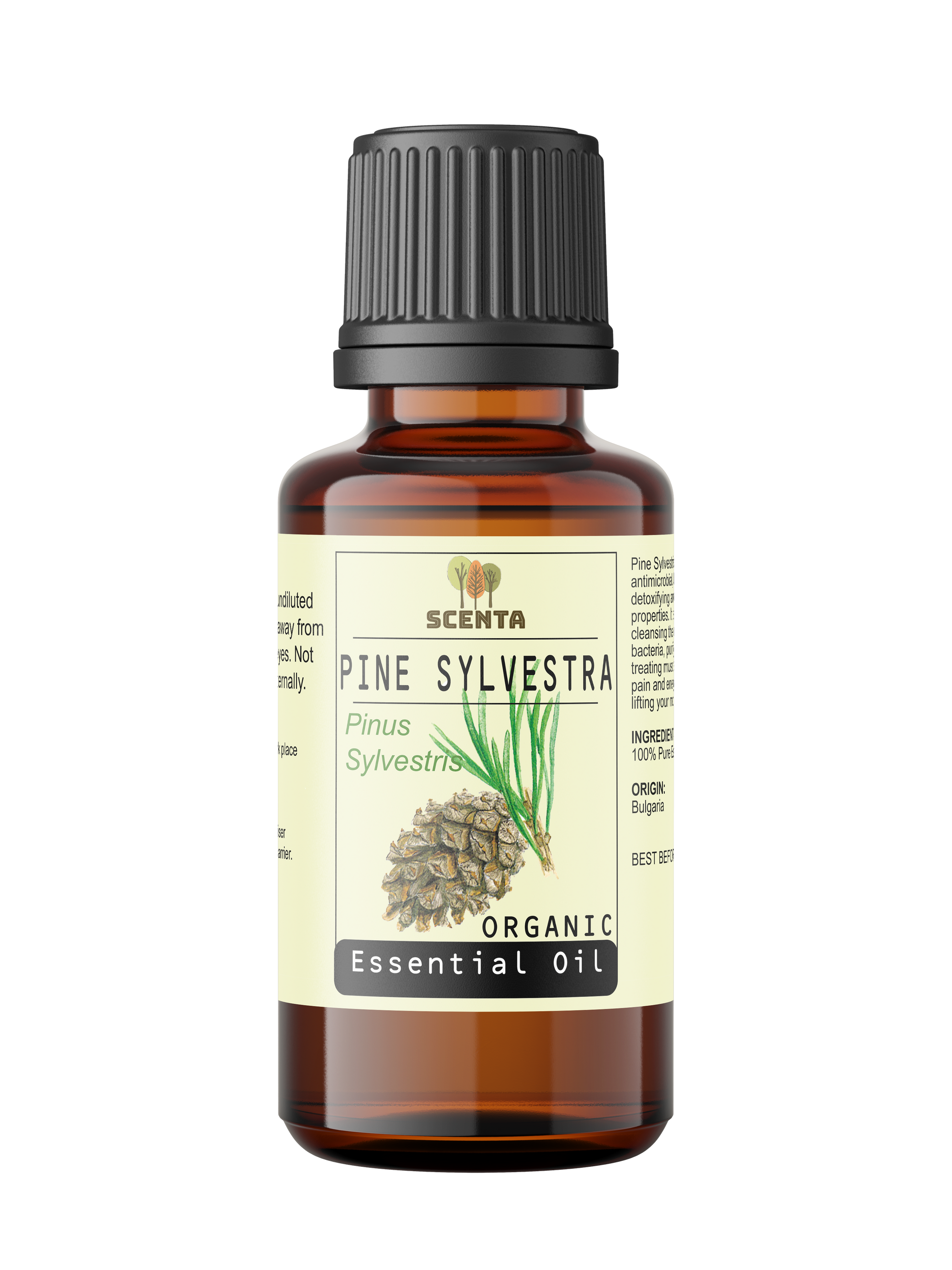 pine sylvestris essential oil organic 