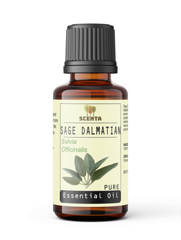 sage dalmatian essential oil