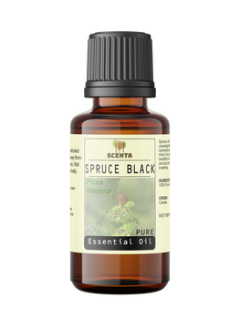 spruce black essential oil