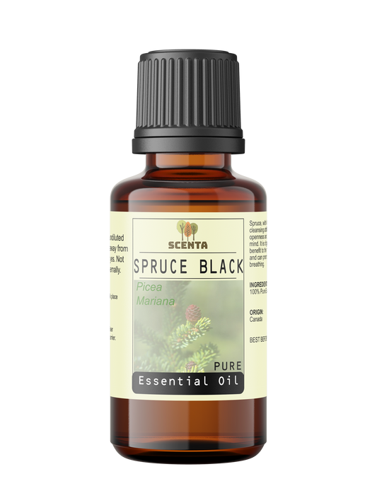 spruce black essential oil