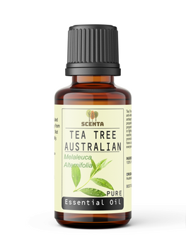 tea tree australian essential oil